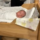 강성약국 | 내 인생 최고의 나날들