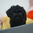 엘케이동물병원 이미지