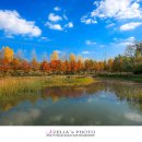 자연수변공원 이미지