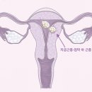 이해와공감 산부인과의원 이미지