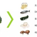 NK푸드 - 서구 | NK푸드