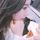 엔플럼 이미지