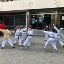 CHA태권도2 이미지