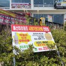 엘에이(LA)소갈비찜 | 울산 동구 일산동맛집 추천 : 산너머남촌 울산대왕암점, 시래기la소갈비찜 후기