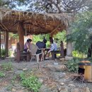 야생초마을아미골 이미지