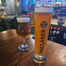 월성동 맥주집 추천🍻😆 강산맥주에서 다양한 세계 맥주 마시기🩷