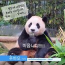 산내들봉평메밀국수 이미지