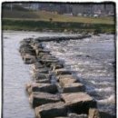 징검다리 이미지