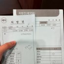 메디텍스 | [엘르메디 시험관 1차]배아 이식/신선배아/3일 배양/2개 이식/쌍둥이 가능성