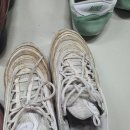 대동세탁 이미지