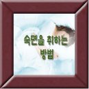 취하는밤 이미지