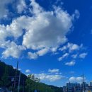 문막우미관 | [유디로그 :: Review] 문막우미관 쇼핑몰 이용 후기(수제돼지갈비맛 양념구이 678/소 내장탕/한우...