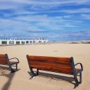 이화 행정사 사무소 이미지