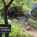 미르쉼터