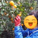 효도민박 | [제주가족민박] :: 저렴하게 제주도여행한 알찬후기 :-)