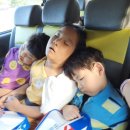 LTA 태인태권도 이미지