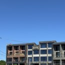 월정씨하루 이미지