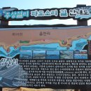 경북 경주 읍천 Daum카페