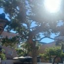 봉곡동164 | 경북 구미 | 순두부찌개 돌솥밥 점심 추천 구미 봉곡동 맛집 장가네제주일품순두부