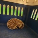 차성동로 이미지