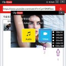 유튜브.비메오.카카오TV.페이스북등 다양한 사이트의 음악과 영상을 다운로드할 수 있는 프로그램 이미지