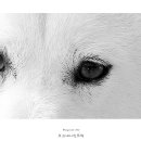 현민이네 이미지