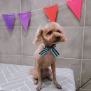 토곡동물병원 이미지