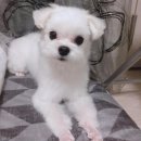 유라 당구장 이미지