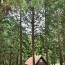 창선여정하우스 이미지