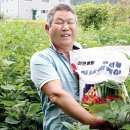 케이농산물