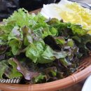 돈통마늘보쌈철원동송점 이미지