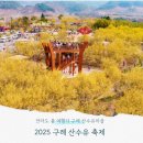 3월22일 토요도보 - 구례 산수유돌담길 이미지