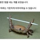 개조아PC방 이미지
