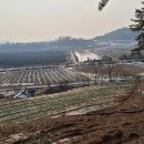 강산태양광발전소 이미지