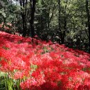 자산공원 Daum카페