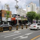 한국카독크 이미지