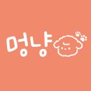 멍냥스쿨