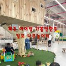 나무와새어린이집 | 제주 아이랑 가볼만한곳 캄포 주말에 다녀온 나무놀이터 후기