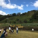 박달재초록꿈체험마을 네이버블로그