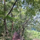 8월 18일 경기도 포천 국립수목원(광릉수목원)을 걷다... 이미지
