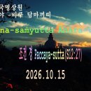 264강. (S12:27) Paccaya-sutta 조건 경 이미지