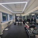 헬로헤일리 이미지