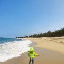 연곡해변 솔향기캠핑장 이미지