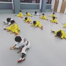 경희대 이룸 태권도 이미지