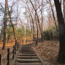 수원팔색길 도란길 이미지