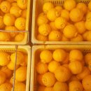 세일농장 이미지