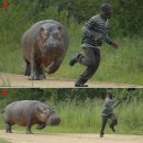 안하마을 이미지