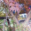 너른마당 이미지