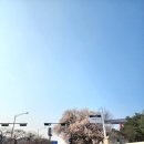 2호화장실(개나리화장실) 이미지