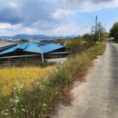 부여목장 이미지